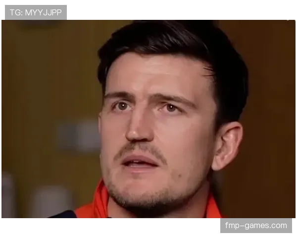 马奎尔风格分析