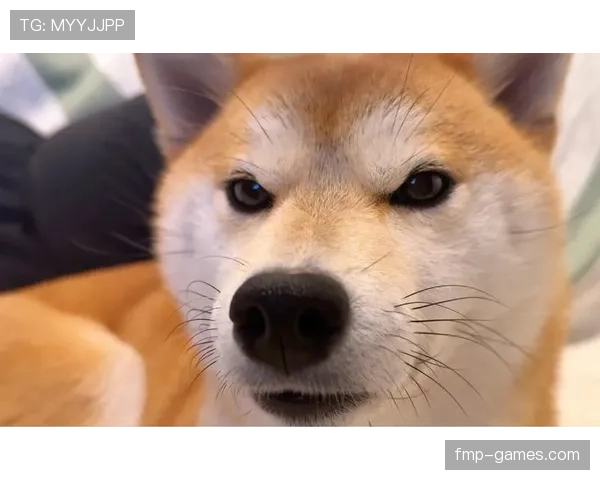 阿尔瓦雷斯训练完回家第一件事竟然不是休息，听说他连宠物都得“专业”打理？